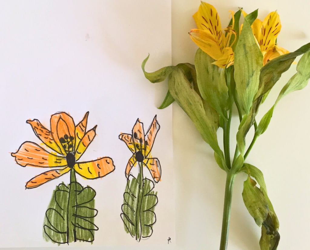 nature observational drawing