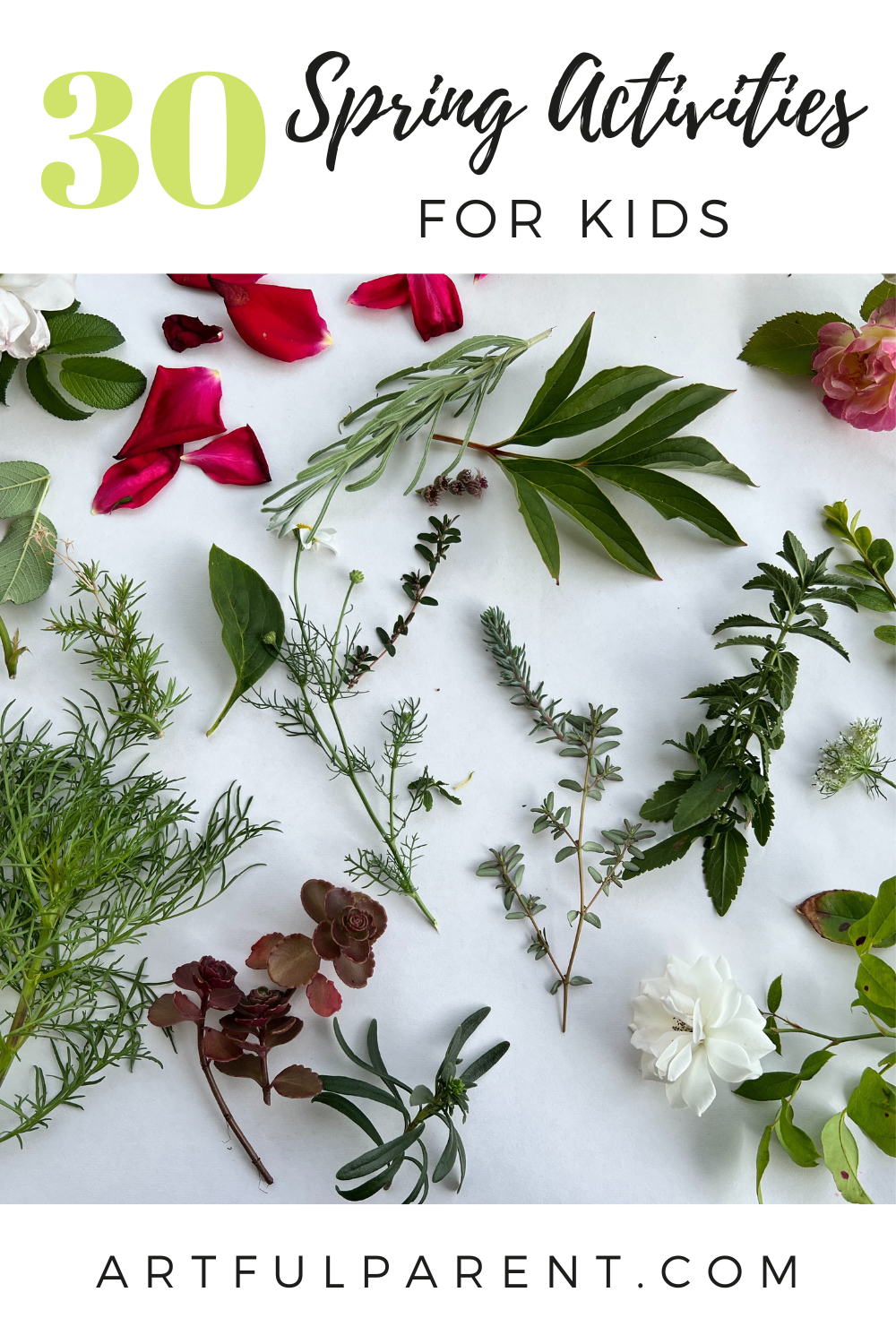 spring activities for kids